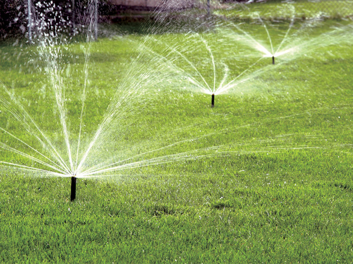irrigation